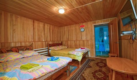 Трехместный стандарт. База отдыха Цица, с. Черниговское