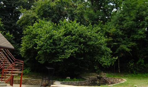 Коттедж "Тенистый". Туристический комплекс Белая река, Майкопский район, ст. Даховская