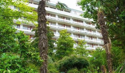 Отель Светлана, г. Сочи