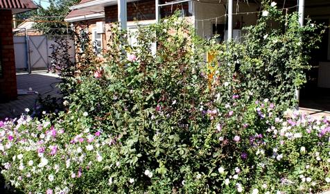 Гостевой дом На Морской, г. Ейск