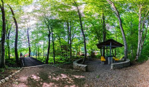 База отдыха "Ореховая роща", х. Гуамка