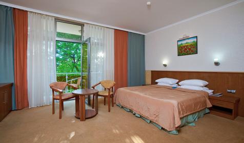 Стандарт двухместный 1 категории, корпус №2, 4, 5, 7. SPA Hotel & Wellness Приморье Grand Resort Hotel , г. Геленджик
