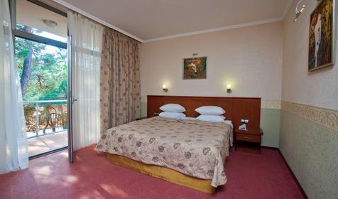 Стандарт плюс. SPA Hotel & Wellness Приморье Grand Resort Hotel , г. Геленджик