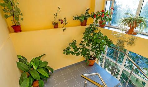 Мини-гостиница Мария, г. Сочи, п. Хоста