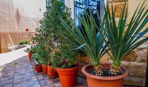 Гостевой дом Эльмира, г. Сочи, Адлерский район