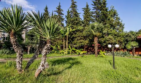 Отель-пансионаа Пенаты, г. Сочи, Лазаревский район, п. Лоо