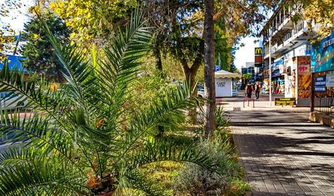 Поселок Лазаревское