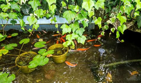 Гостевой дом Валентина, г. Сочи, Лазаревский район, п. Лоо