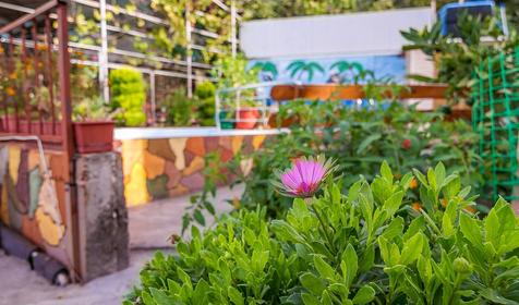 Гостевой дом по ул. Пролетарская 22, г. Сочи, п. Лазаревское