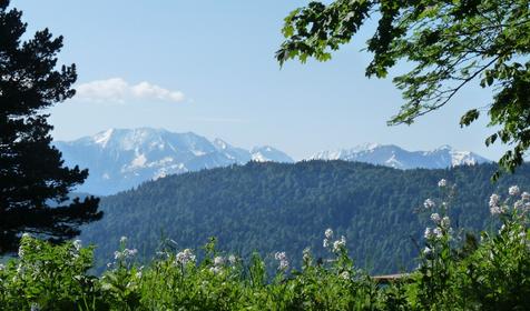Коттедж Сосновая терраса, плато Лаго-Наки