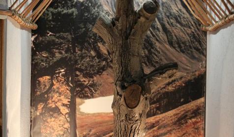 Национальный музей Республики Адыгея