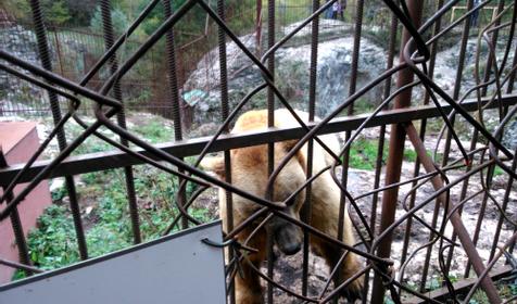 Хаджохская теснина