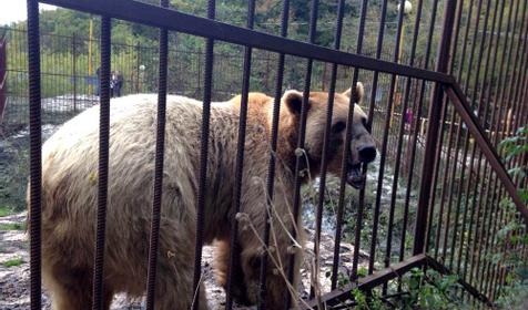 Хаджохская теснина