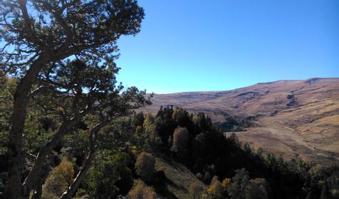 Плато Лаго-Наки