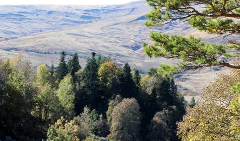 Плато Лаго-Наки