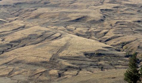 Плато Лаго-Наки