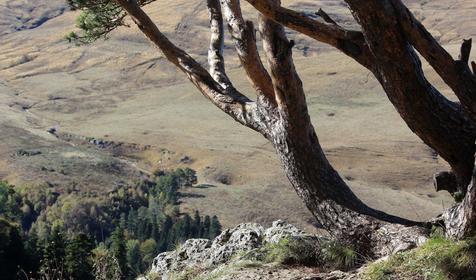 Пресс-тур в Лаго-Наки