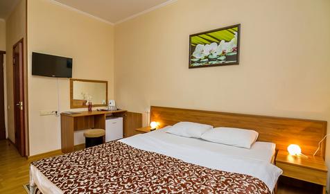 Стандарт. Отель Ирис, г. Краснодар