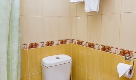 Стандарт. Отель Ирис, г. Краснодар