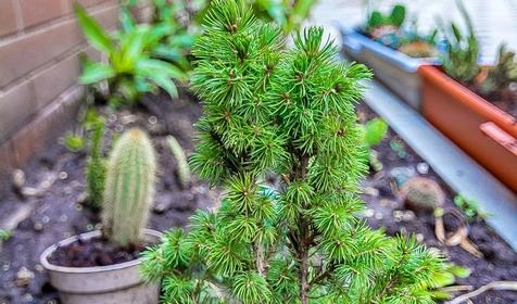 Отель Smart People Eco Hotel, г. Краснодар