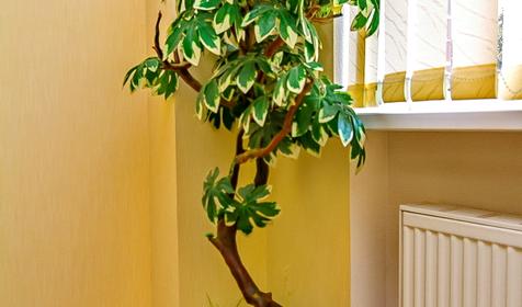 Отель Smart People Eco Hotel, г. Краснодар