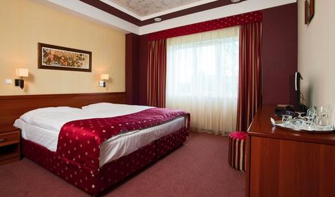 Номер Стандарт. Отель Премьер-отель, г. Краснодар