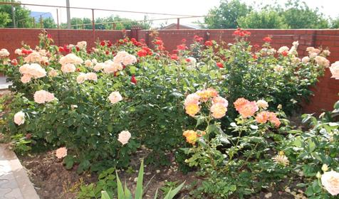 Гостиница Астери, п. Кучугуры