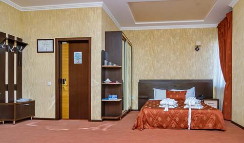 Номер VIP Люкс. Гостевой дом Айсберг, г. Краснодар