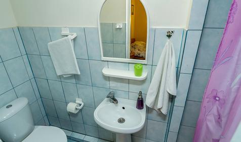 Номер Дабл. Гостиница Сосновая роща. Краснодар