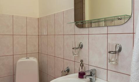 Люкс. Гостиница Сосновая роща, г. Краснодар