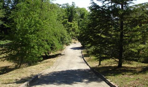 Пансионат Находка, Лазаревский район Сочи, п. Аше