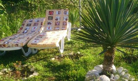 Гостевой дом Пани София, Сочи, Якорная щель, Нижняя Беранда