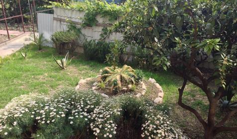 Отель Барса, Сочи, Адлер, Верхнеимеретинская Бухта