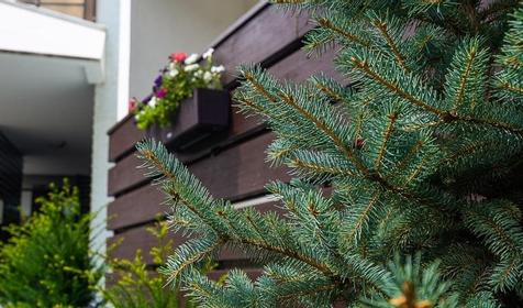 Villa Adriano (Вилла Адриано)