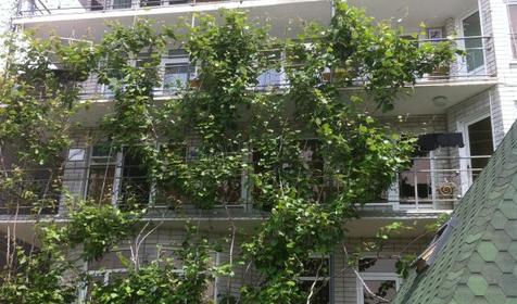 Иван да Марья