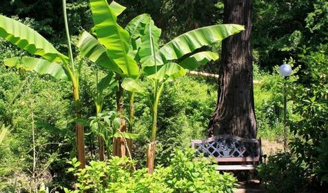 Пансионат Рест-Мацеста, Сочи, Хостинский район, Мацеста