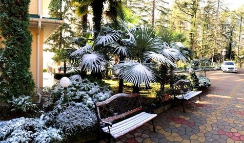 Пансионат Рест-Мацеста, Сочи, Хостинский район, Мацеста