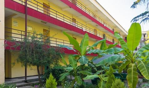 СОК Адлеркурорт, г. Сочи, Адлерский район