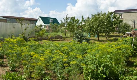 Домик у моря, Темрюкский р-н, ст. Голубицкая