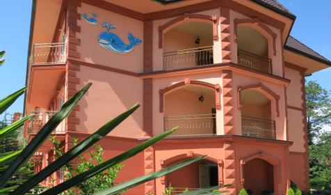 Гостевой дом Добрый кит, пос. Нижняя Хобза