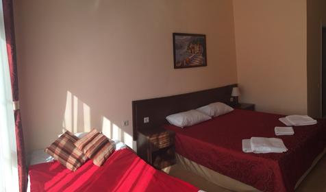 Полулюкс четырехместный с диваном 1,6м