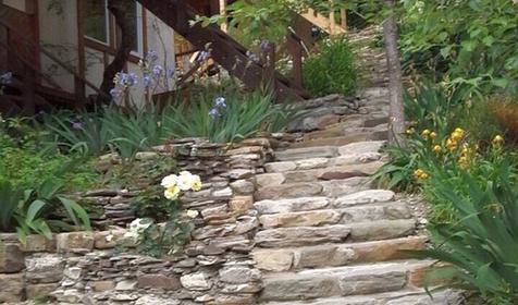 Частная гостиница «Камелия», Туапсинский р-н, с. Лермонтово