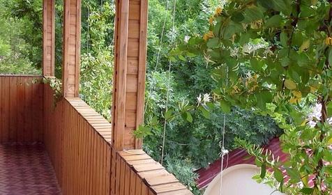 Частная гостиница «Камелия», Туапсинский р-н, с. Лермонтово