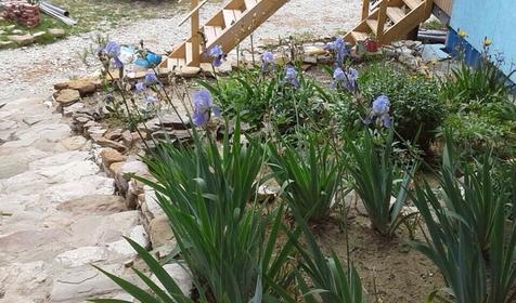 Частная гостиница «Камелия», Туапсинский р-н, с. Лермонтово