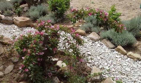 Частная гостиница «Камелия», Туапсинский р-н, с. Лермонтово