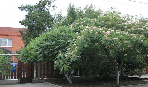 Частный гостевой дом На Гагарина 73, Темрюкский р-н, п. Кучугуры