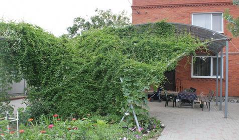 Территория частного гостевого дома На Гагарина 73, Темрюкский р-н, п. Кучугуры