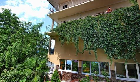 Анжелика-Альбатрос