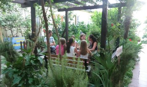 Анжелика-Альбатрос