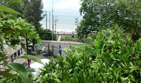 Анжелика-Альбатрос